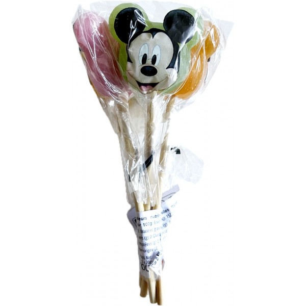 Disneyland Paris Mickey Mouse Lollipops set of 5 Disneyland Paris Mickey Mouse Lollipops set of 5