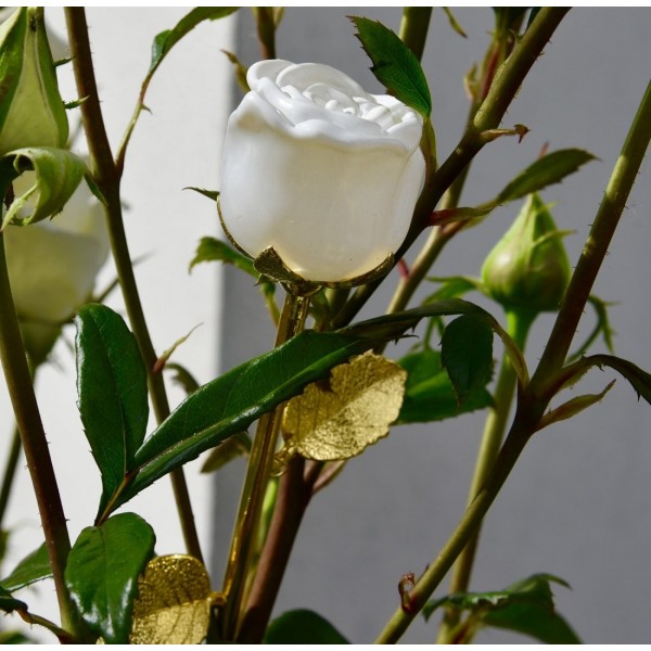 White rose in Glass, by Arribas and Disneyland Paris White rose in Glass, by Arribas and Disneyland Paris